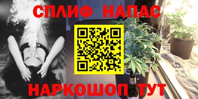 Альфа ПВП Кандалакша